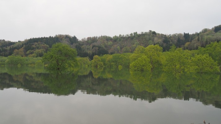 白川湖