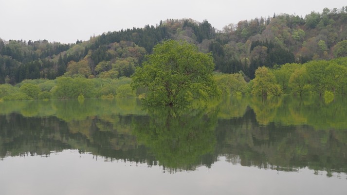 白川湖
