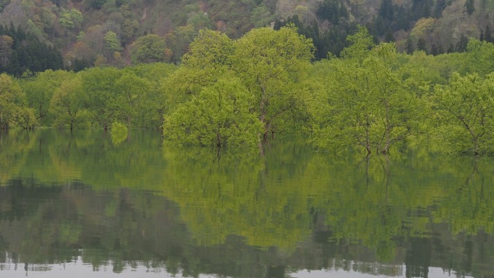 白川湖
