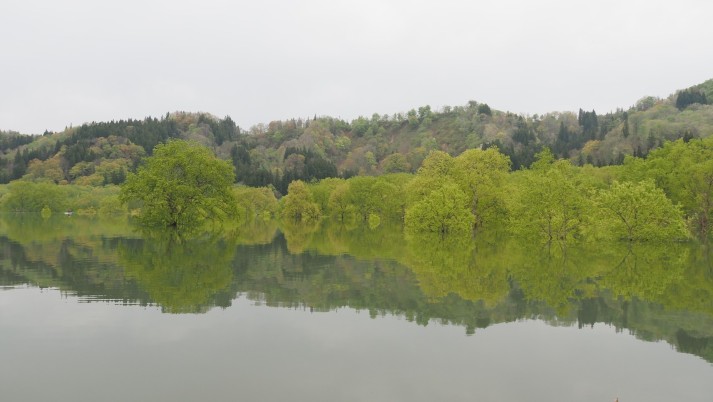 白川湖