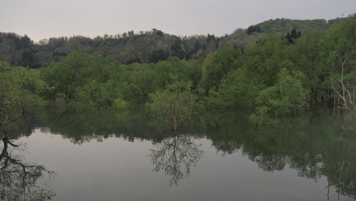 白川湖