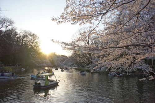 井の頭池