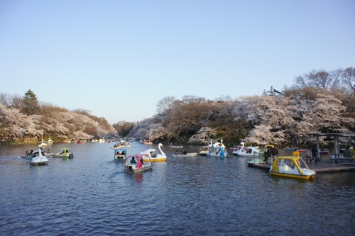 井の頭池