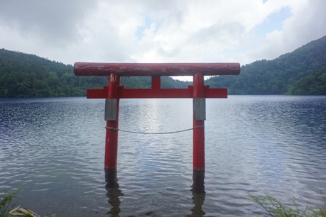 大沼池