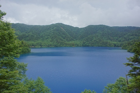 大沼池