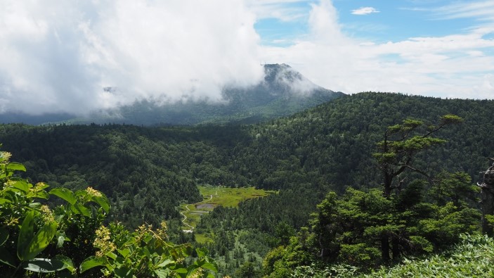 大沼池
