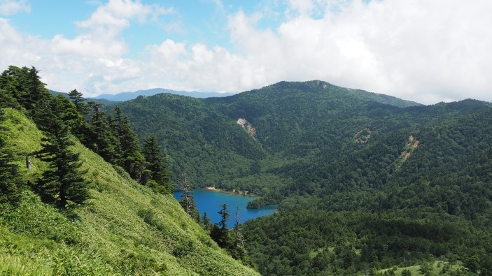 大沼池