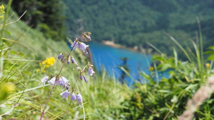 大沼池
