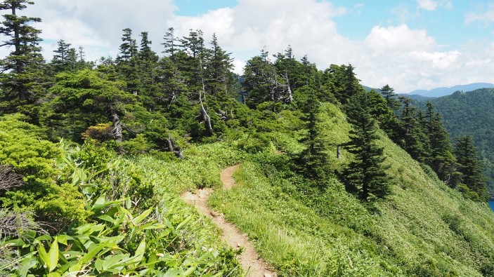 大沼池