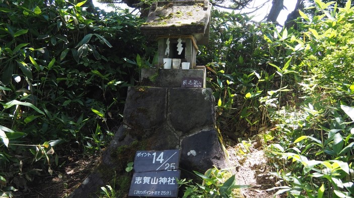 大沼池