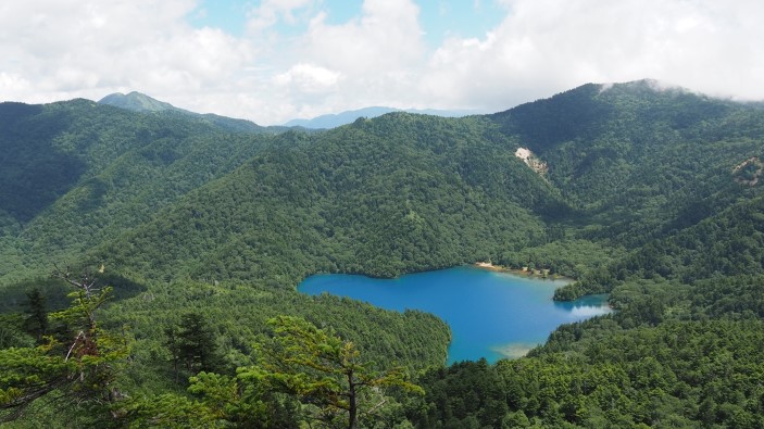 大沼池