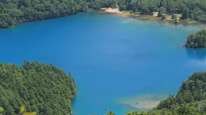 大沼池