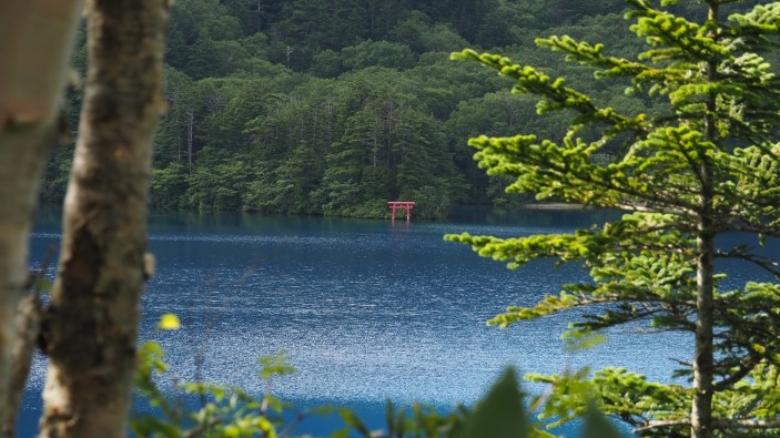 大沼池