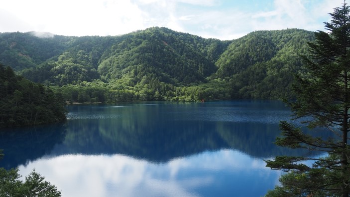 大沼池