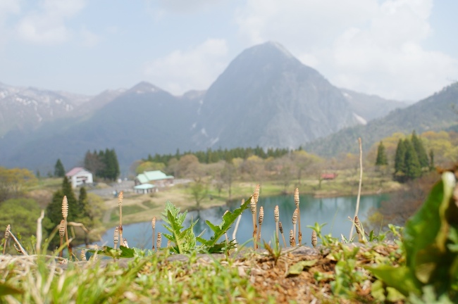 高浪の池